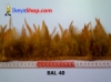 bulu ayam lancip BAL 40 - feather medium.jpg